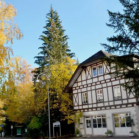 ホテル　アトス ホテル 3*